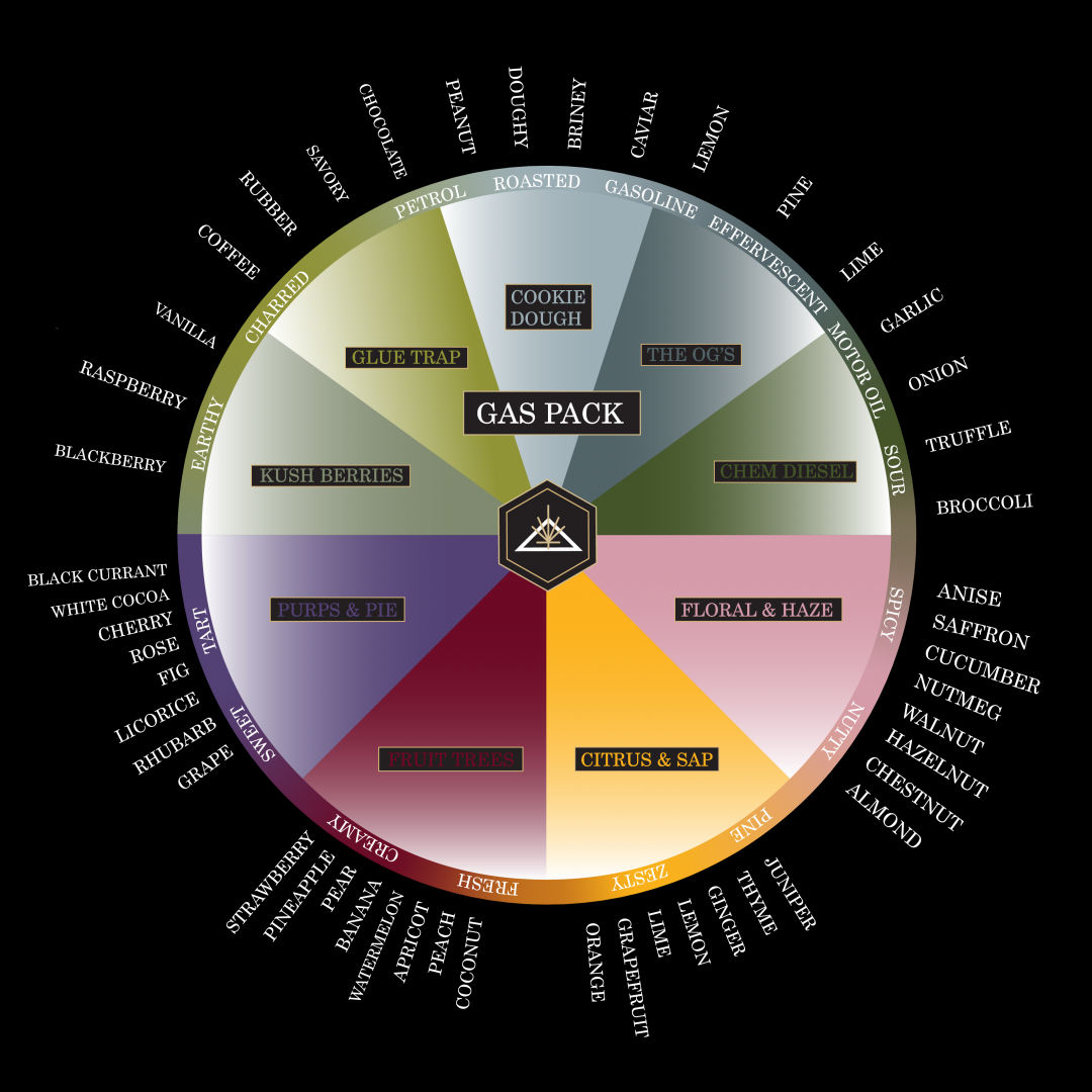 History • Genetics • Flavor • – House Of Cultivar