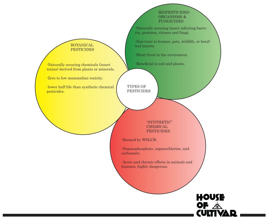 types of pesticieds diagram